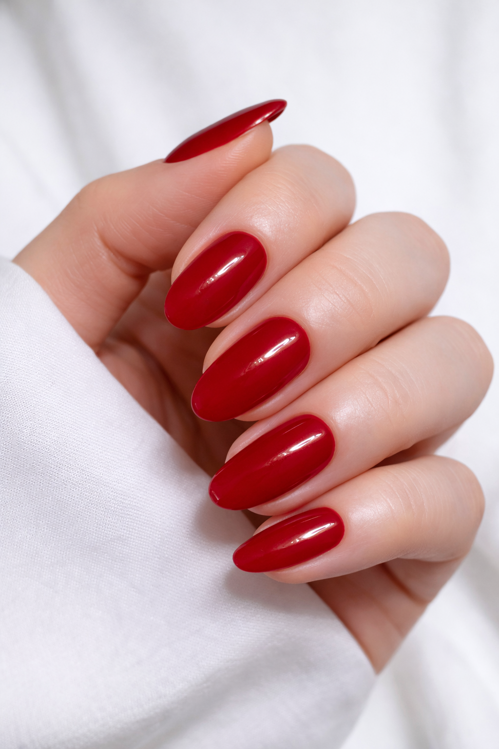 SEMIPERMANENTE MODENA